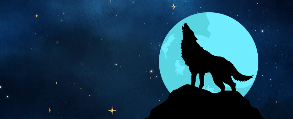 Wolf Winner Casino banner